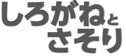 しろがねとさそり