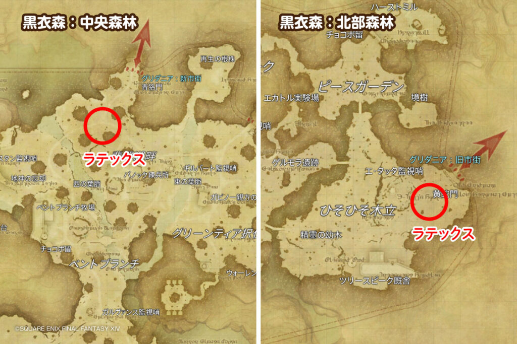 ラテックス採集場所