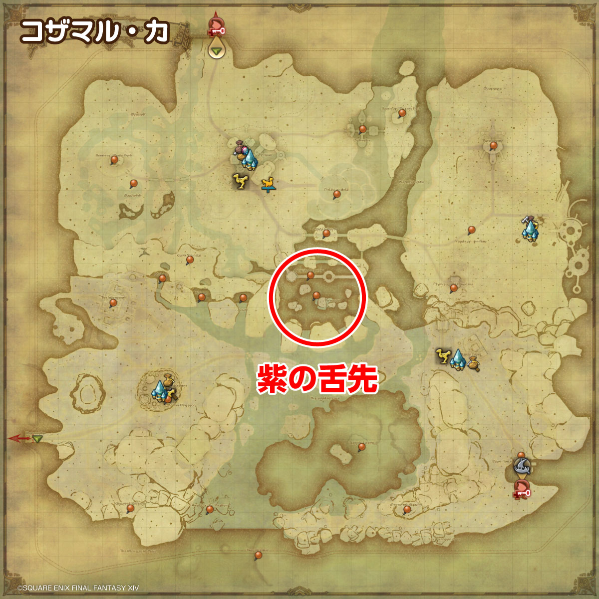 紫の舌先