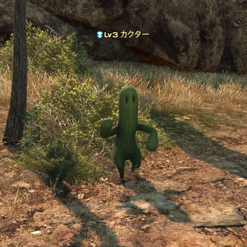 カクター